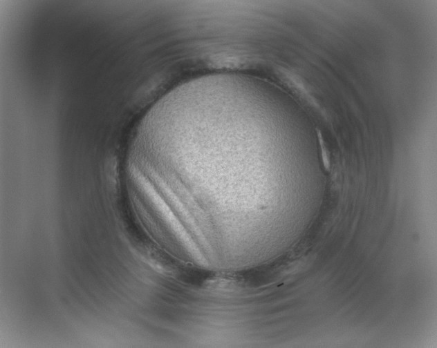 X0000068720211200605121500