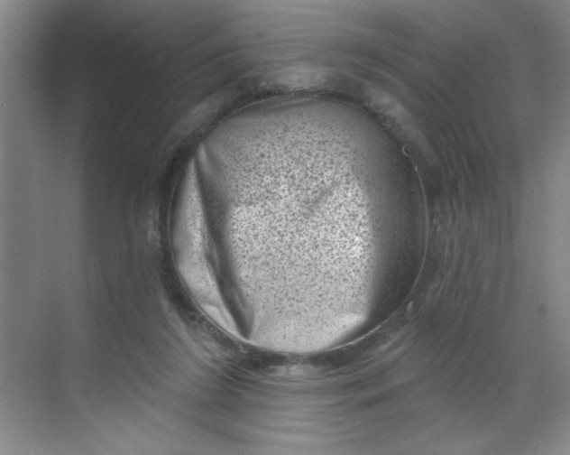 X0000068720212200605121500