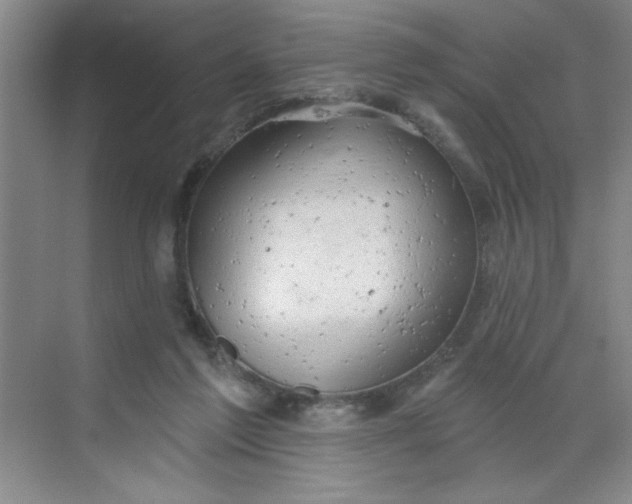 X0000068720213200605121500