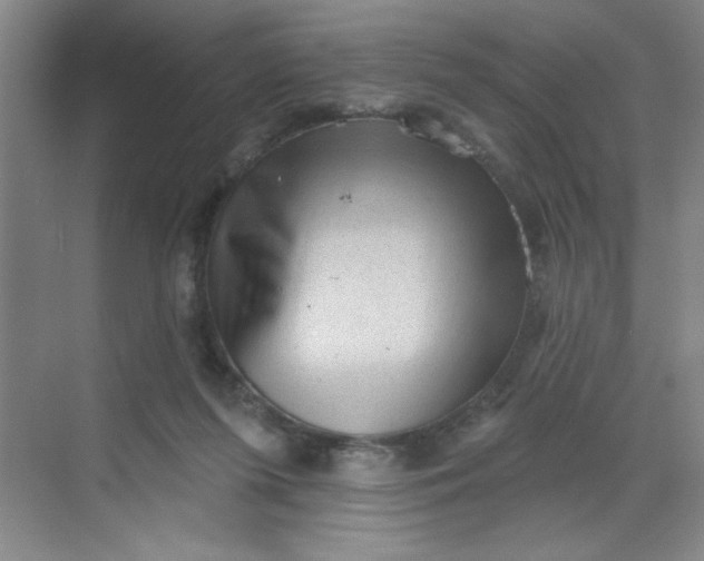 X0000068720215200605121500