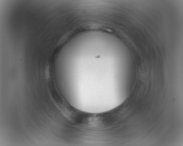 X0000068720216200605121500