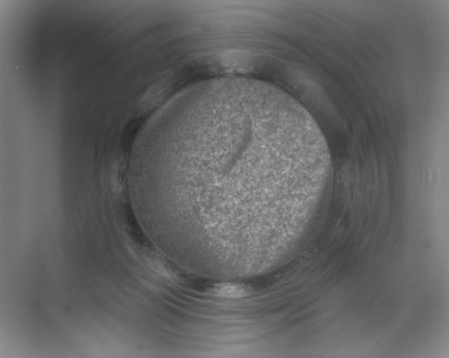 X0000068720218200605121500