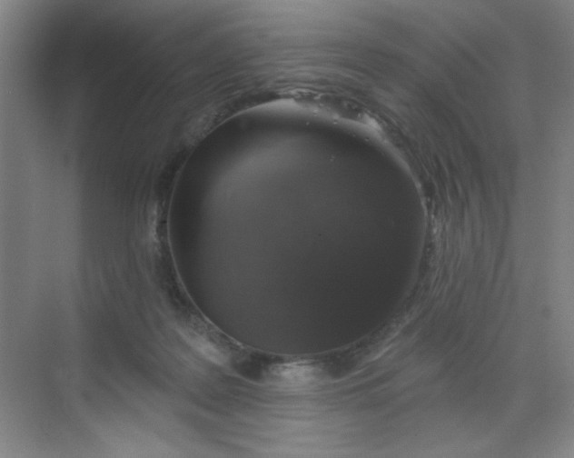 X0000068720219200605121500