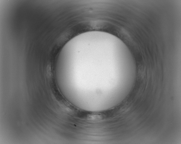 X0000068720220200605121500