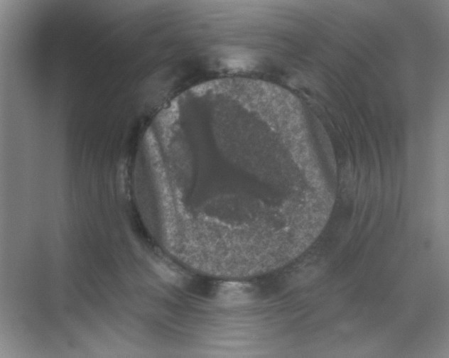 X0000068720222200605121500