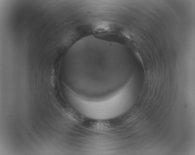 X0000068720223200605121500