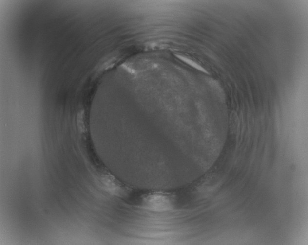 X0000068720224200605121500