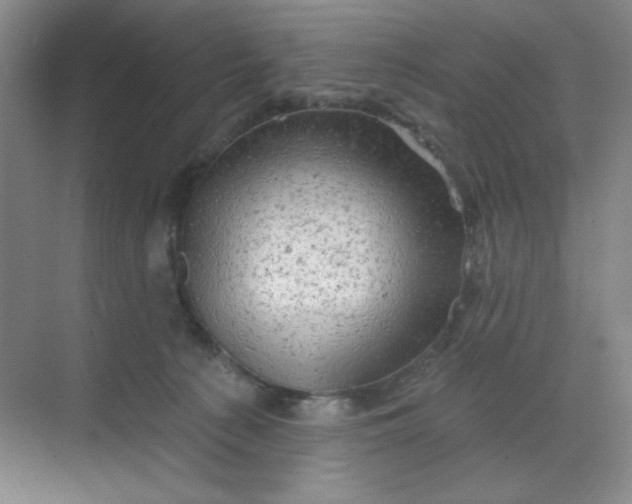 X0000068720225200605121500