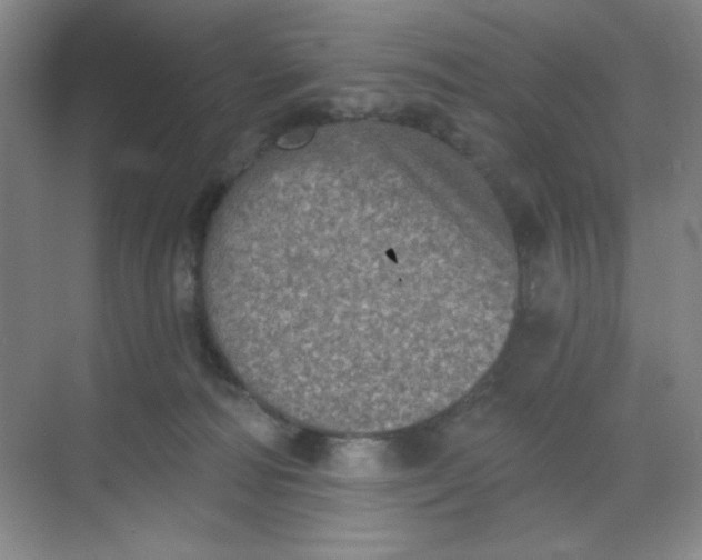 X0000068720226200605121500