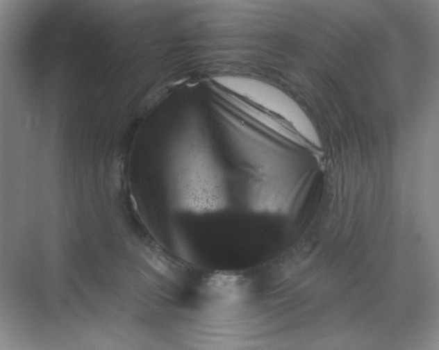 X0000068720227200605121500