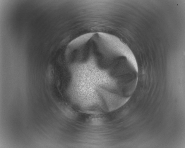 X0000068720228200605121500