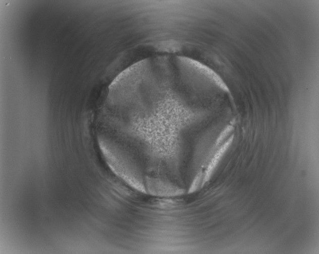 X0000068720229200605121500