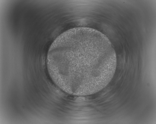 X0000068720230200605121500