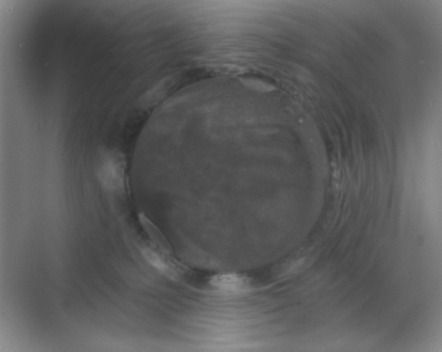 X0000068720231200605121500