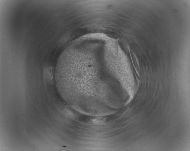 X0000068720232200605121500