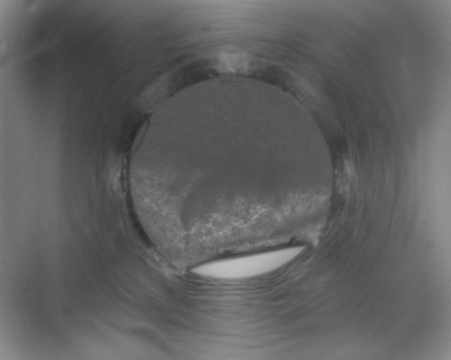 X0000068720233200605121500