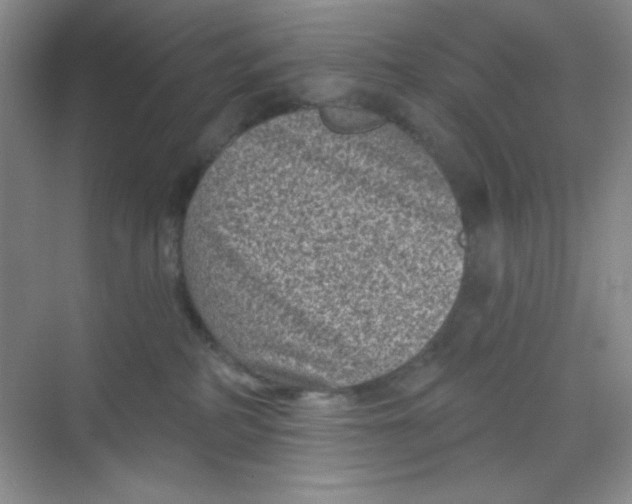 X0000068720234200605121500