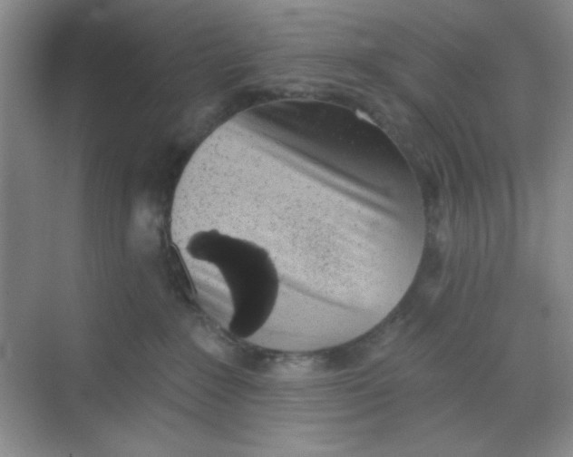 X0000068720235200605121500