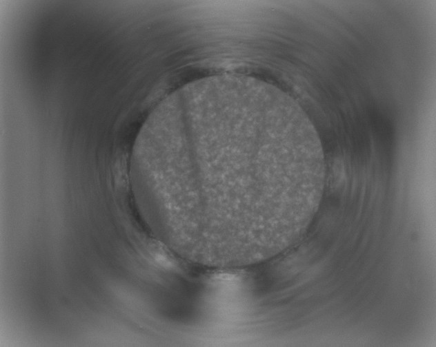 X0000068720236200605121500