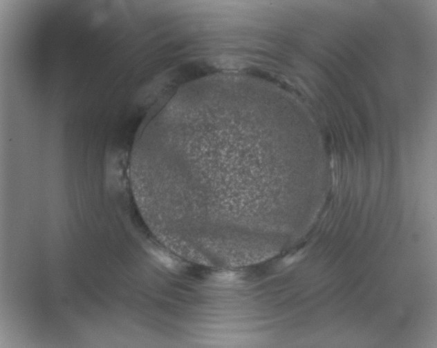 X0000068720237200605121500