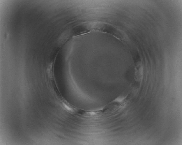 X0000068720239200605121500