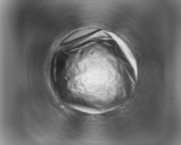 X0000068720241200605121459