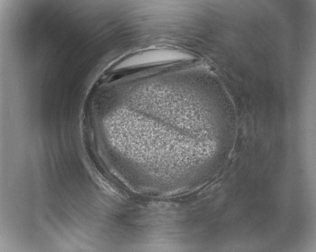 X0000068720242200605121459