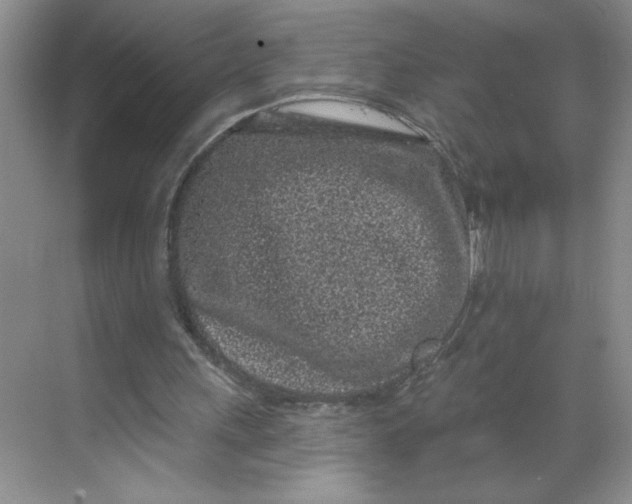 X0000068720243200605121459