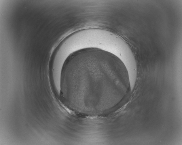 X0000068720244200605121459