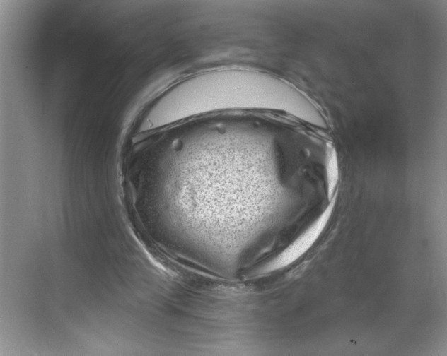 X0000068720245200605121459