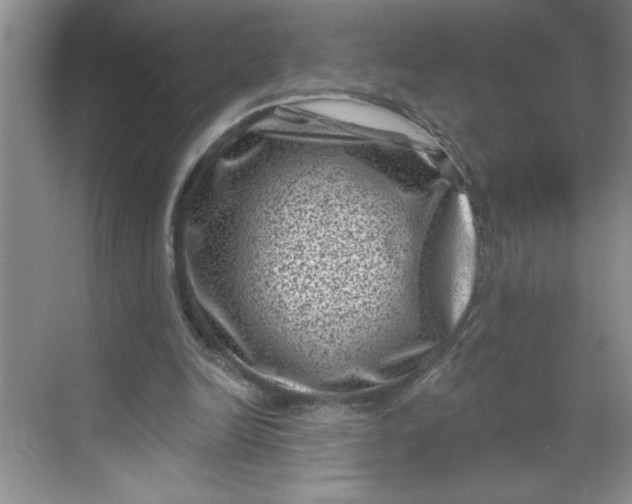 X0000068720246200605121459