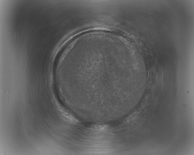 X0000068720247200605121459