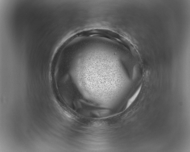 X0000068720248200605121459