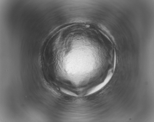 X0000068720249200605121459