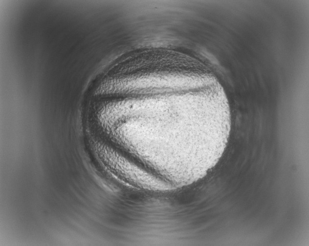 X0000068720250200605121459