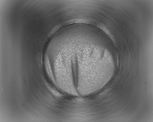 X0000068720253200605121459