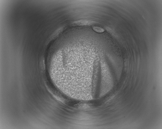 X0000068720254200605121459