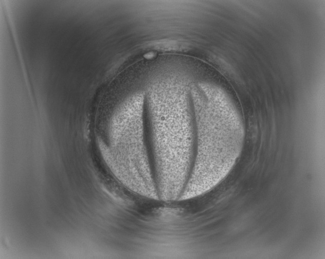 X0000068720255200605121459