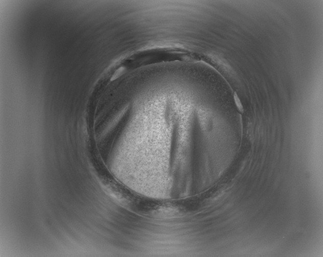 X0000068720256200605121459