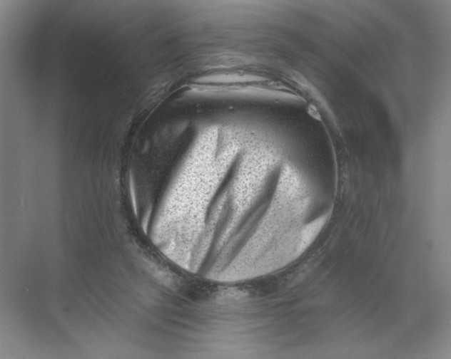 X0000068720257200605121459