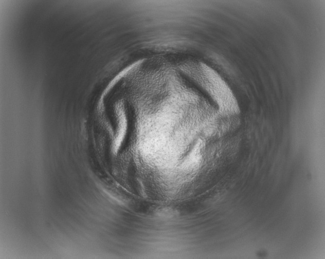 X0000068720258200605121459