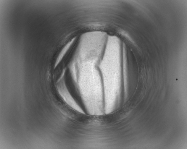 X0000068720259200605121500