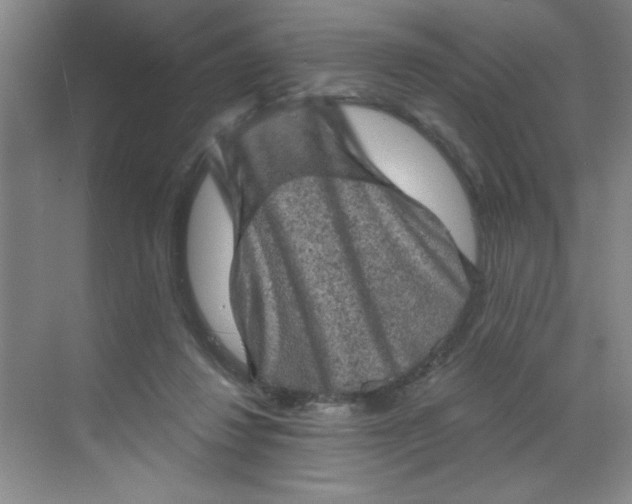 X0000068720260200605121500