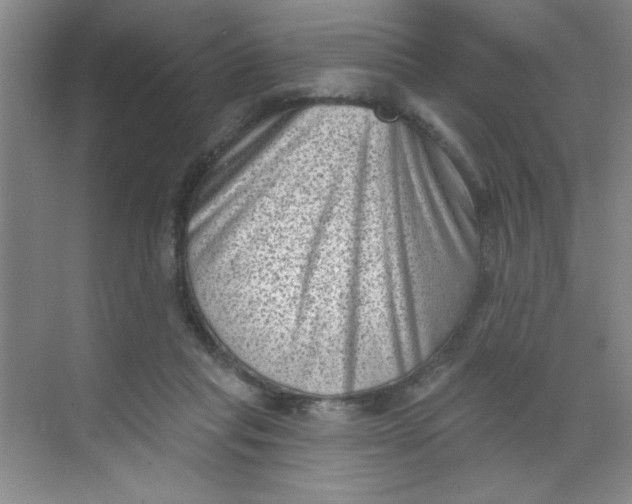 X0000068720261200605121500