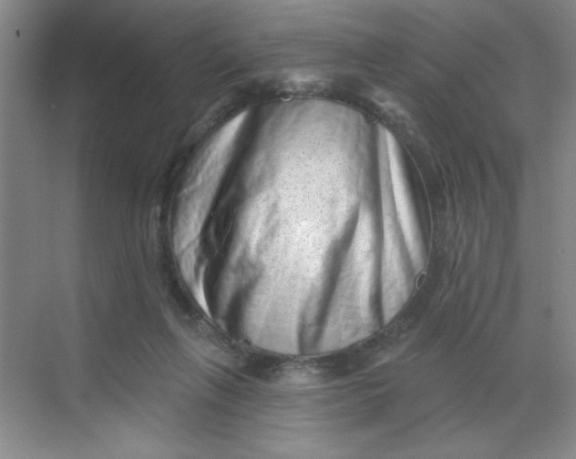 X0000068720263200605121500