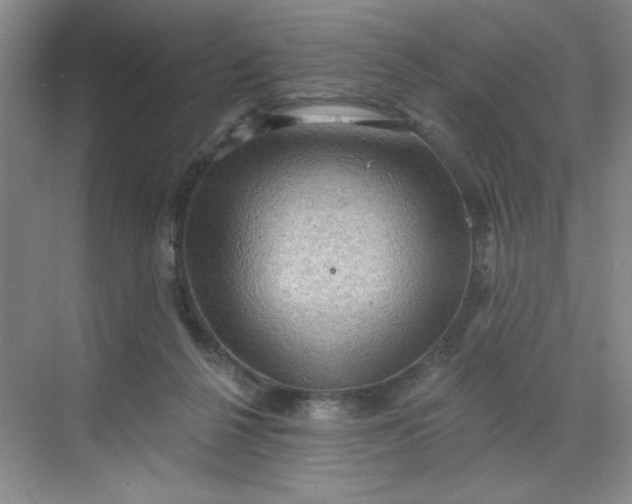 X0000068720264200605121500