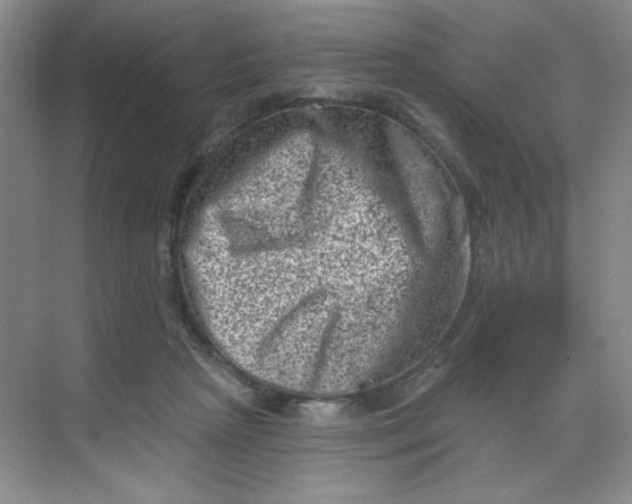 X0000068720265200605121500