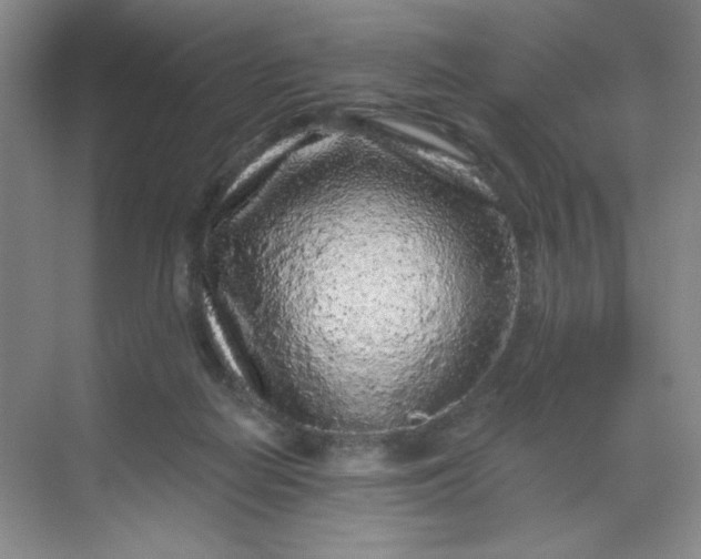 X0000068720266200605121500