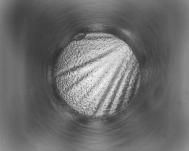 X0000068720267200605121500