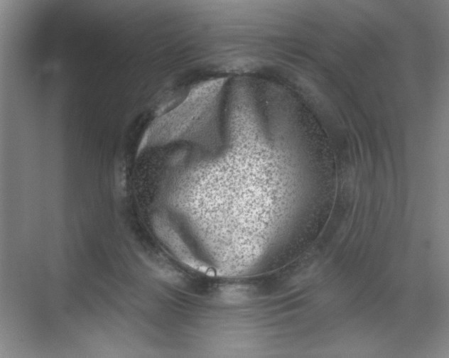 X0000068720268200605121500